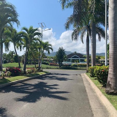 Nature'S Choice Home Richmond Palms, Jamaica Ngoại thất bức ảnh