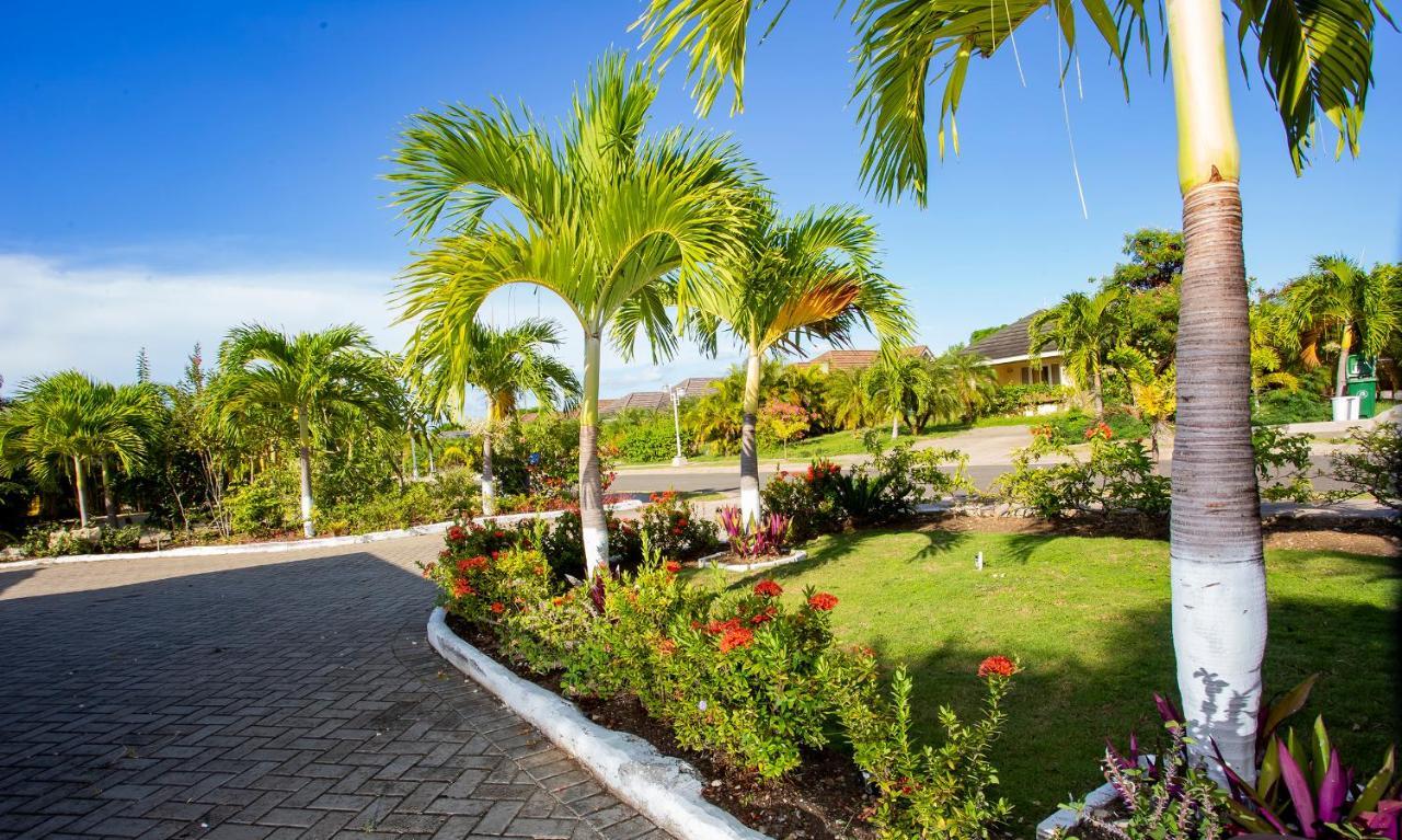 Nature'S Choice Home Richmond Palms, Jamaica Ngoại thất bức ảnh