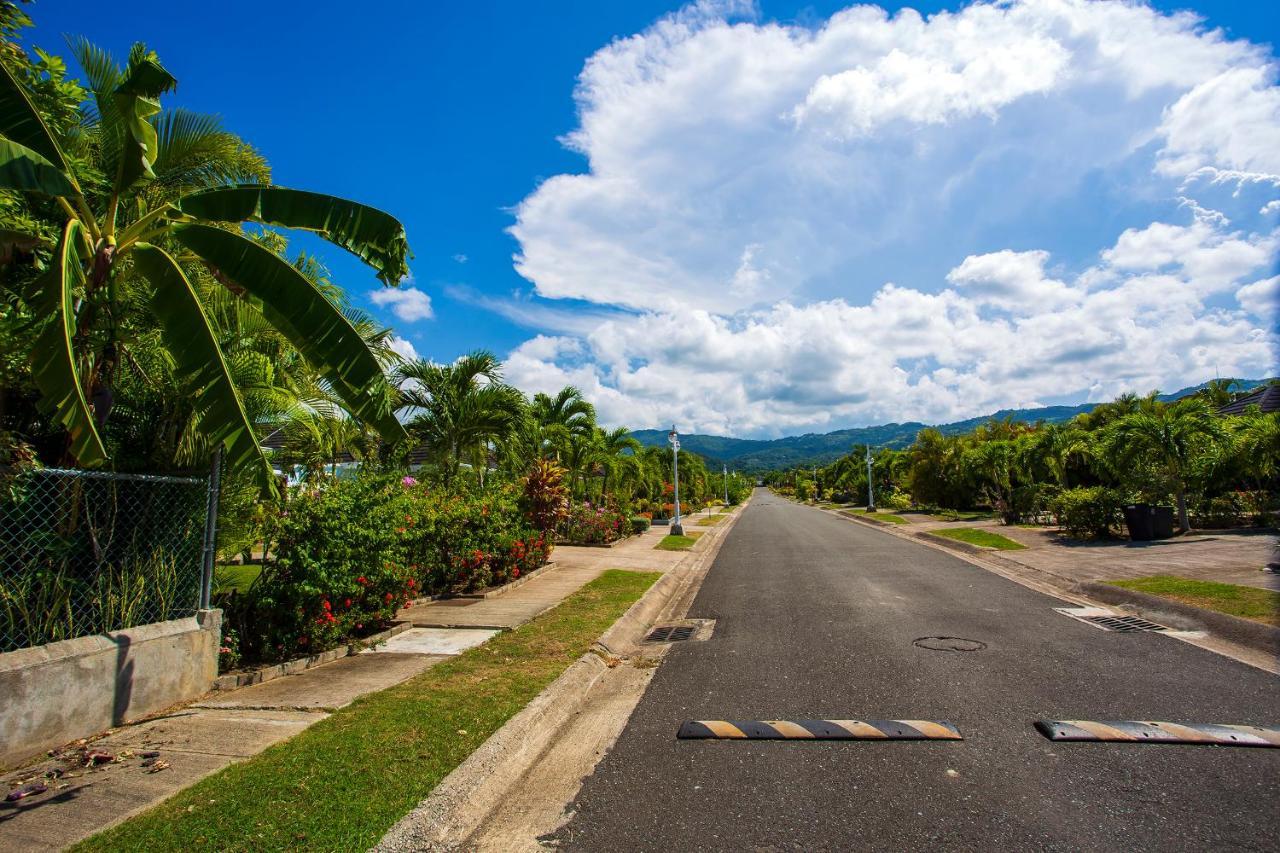 Nature'S Choice Home Richmond Palms, Jamaica Ngoại thất bức ảnh