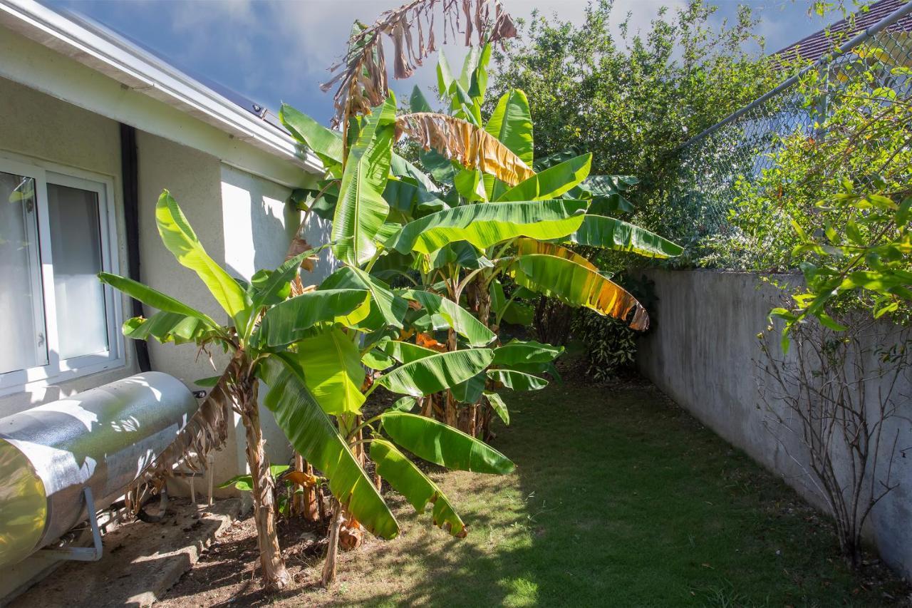 Nature'S Choice Home Richmond Palms, Jamaica Ngoại thất bức ảnh